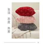Plush Throw Pillow Cover