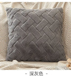 Plush Throw Pillow Cover